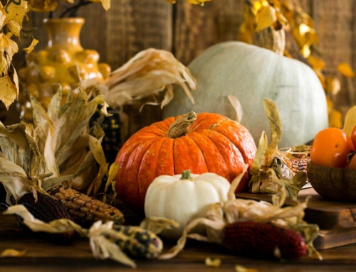 Preparing for Thanksgiving: Supporting Clients Through Family Dynamics