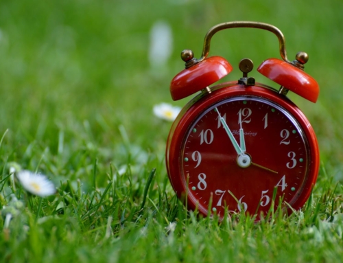 When the Clocks Fallback: How to Support Yourself and Your Clients