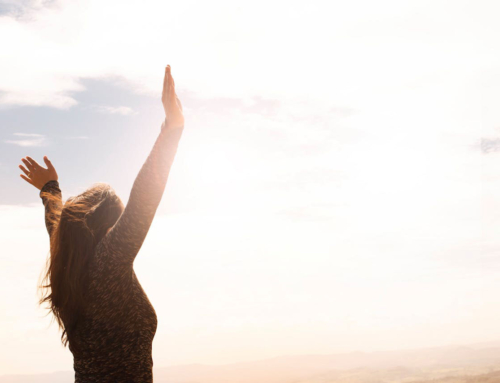 Take Control of Your Income & Career with CCS