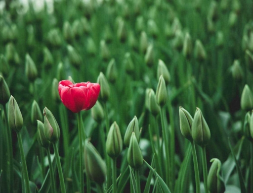 You Deserve to Thrive, Not Just Survive